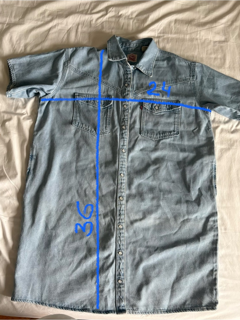 Levi’s Elowen Western Denim Jean Dress